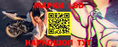 сатива Краснознаменск