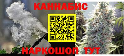 сатива Краснознаменск