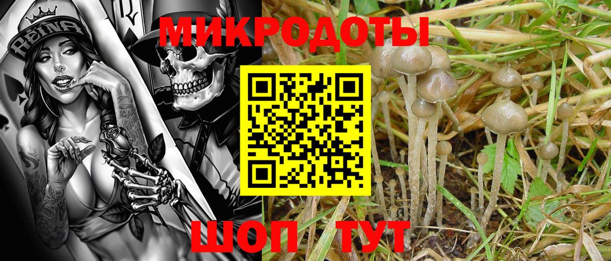 Галлюциногенные грибы ЛСД Клинцы