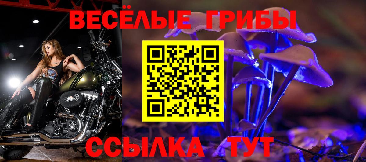 Псилоцибиновые грибы MAGIC MUSHROOMS  Вход с VPN  Клинцы 